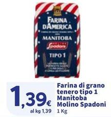 Molino Spadoni - Farina Di Grano Tenero Tipo 1 Manitoba