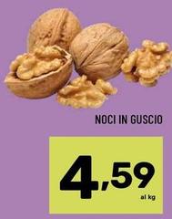 Noci In Guscio