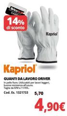 Kapriol - Guanti Da Lavoro Driver