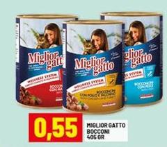 Morando - Miglior Gatto Bocconi