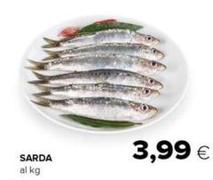 Sarda