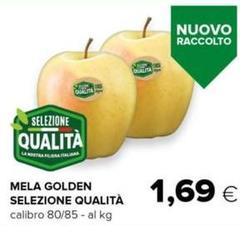 Selezione qualità - Mela Golden