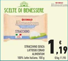 Benessere - Stracchino Senza Lattosio Alimentum