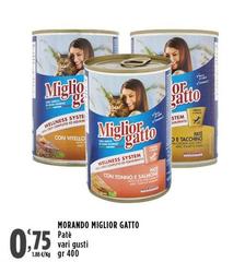 Morando - Miglior Gatto Pate