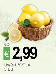 Limoni Foglia Sfusi