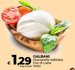 Galbani - Mozzarella Vallelata Fior Di Latte