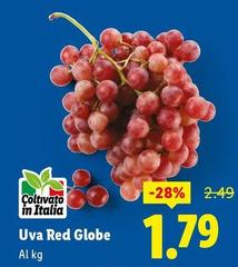 Uva Red Globe