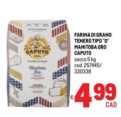 Caputo - Farina Di Grano Tenero Tipo 