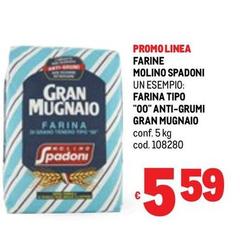 Linea - Farine Molino Spadoni Farina Tipo 