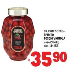 Vignola - Ciliegie Sotto- Spirito Toschi