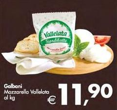 Galbani - Mozzarella Vallelata