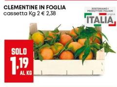 Origine - Clementine In Foglia