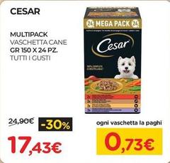 Cesar - Multipack Vaschetta Cane