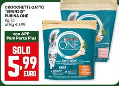 Purina - Crocchette Gatto 