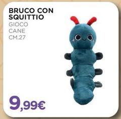 Bruco Con Squittio