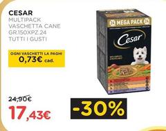 Cesar - Multipack Vaschetta Cane