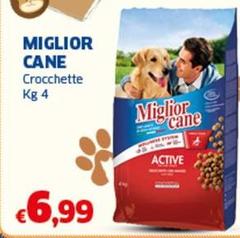 Morando - Miglior Cane