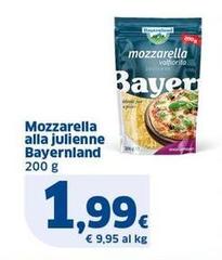 Bayernland - Mozzarella Alla Julienne