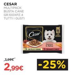 Cesar - Multipack Busta Cane
