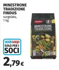 Findus - Minestrone Tradizione