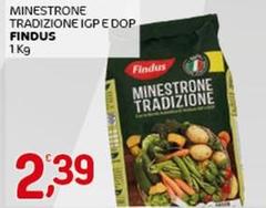 Findus - Minestrone Tradizione IGP E DOP