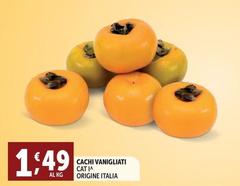 Origine - Cachi Vanigliati Cat I/  Italia