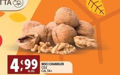 Chandler - Noci Clic