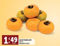 Origine - Cachi Vanigliati Cat I'  Italia