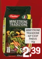 Findus - Minestrone Tradizione IGP E DOP