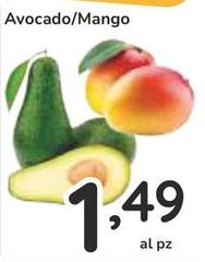 Avocado/Mango