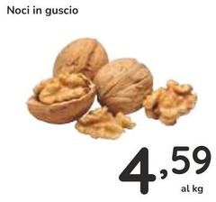 Noci In Guscio