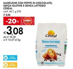 Cereal bio - Madeleine Con Pepite Di Cioccolato, Senza Glutine E Senza Lattosio