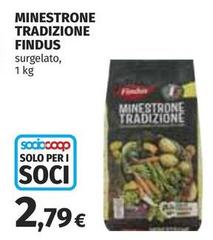 Findus - Minestrone Tradizione