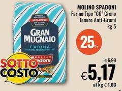 Molino spadoni - Farina Tipo 