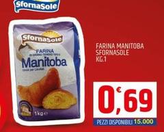 Sfornasole - Farina Manitoba