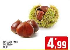 Castagne Cat.ii Cal.55/60