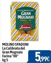 Molino spadoni - La Calibrata Del Gran Mugnaio Farina 