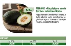 Melone 
