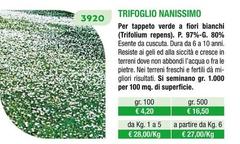 Trifoglio Nanissimo