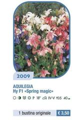 Aquilegia Hy F1 Spring Magic