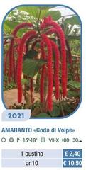 Amaranto Coda I Volpe