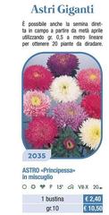 Astro Principessa In Miscuglio
