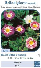 Belle Di Giorno In Miscuglio