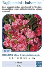 Begliuomini  A Fiore Di Camelia In Miscuglio