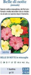 Belle Di Notte In Miscuglio
