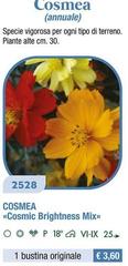 Cosmea «Cosmic Brightness Mix>>