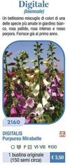 Digitalis Purpurea Mirabelle