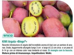 Kiwi Arguta Bingo