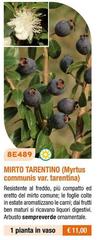 Mito Tarentino