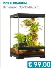 Pro Terrarium
